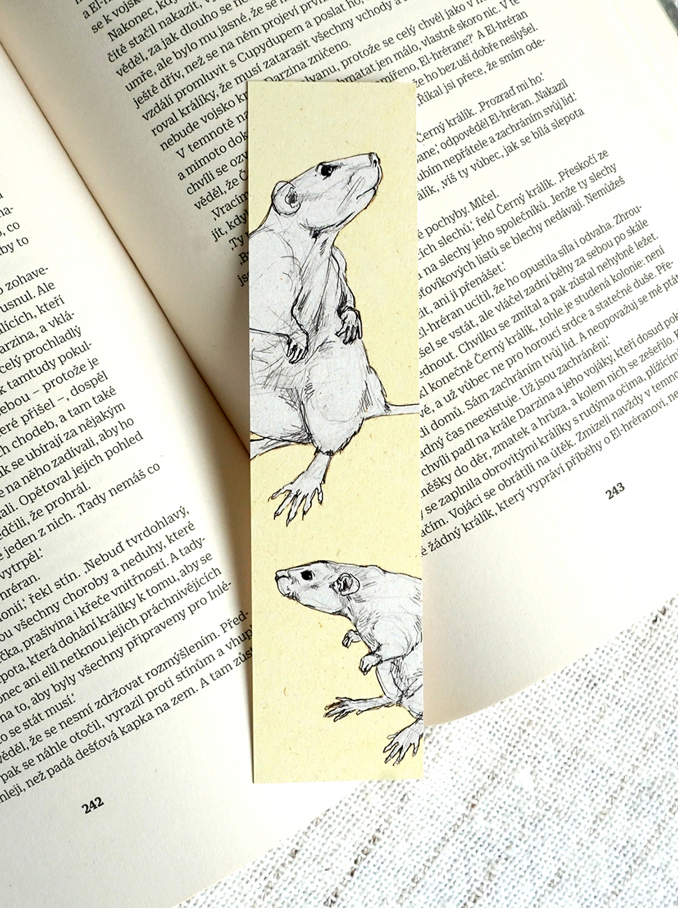 The bookmark - rats